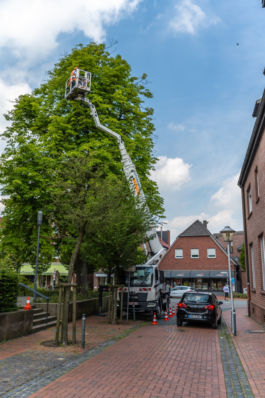 RUTHMANN STEIGER T 300 XS im Baumpflegeeinsatz in der beengten Innenstadt