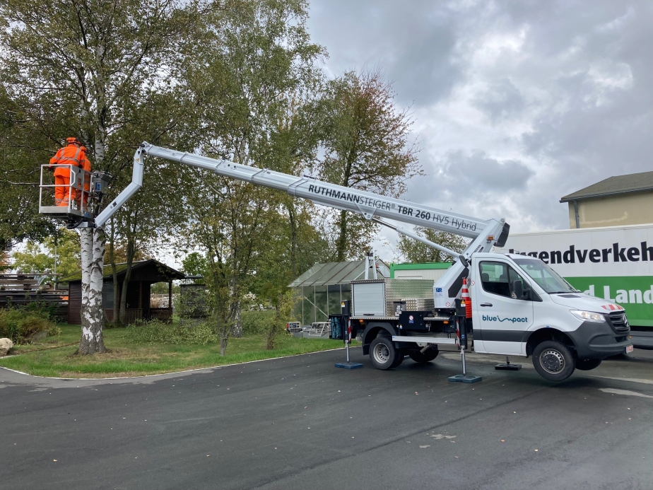 Der RUTHMANN STEIGER® TBR 260 HV 5 Hybrid im Baumpflege-Einsatz