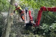 Baumpflege mit der BLUELIFT ST 31 Kettenarbeitsbühne